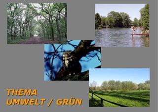 Präsentation asberg schwafheim