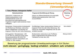 Präsentation asberg schwafheim