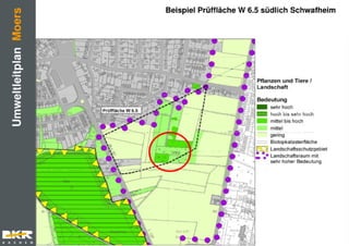 Präsentation asberg schwafheim