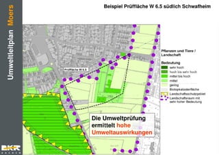 Präsentation asberg schwafheim