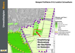 Präsentation asberg schwafheim