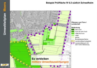 Präsentation asberg schwafheim