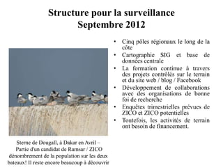 Structure pour la surveillance
Septembre 2012
• Cinq pôles régionaux le long de la
côte
• Cartographie SIG et base de
données centrale
• La formation continue à travers
des projets contrôlés sur le terrain
et du site web / blog / Facebook
• Développement de collaborations
avec des organisations de bonne
foi de recherche
• Enquêtes trimestrielles prévues de
ZICO et ZICO potentielles
• Toutefois, les activités de terrain
ont besoin de financement.
Sterne de Dougall, à Dakar en Avril –
Partie d'un candidat de Ramsar / ZICO
dénombrement de la population sur les deux
bateaux! Il reste encore beaucoup à découvrir
 
