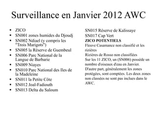 Surveillance en Janvier 2012 AWC
 ZICO
 SN001 zones humides du Djoudj
 SN002 Ndiael (y compris les
"Trois Marigots")
 SN005 la Réserve de Guembeul
 SN006 Parc National de la
Langue de Barbarie
 SN009 Niayes
 SN010 Parc National des Iles de
la Madeleine
 SN011 la Petite Côte
 SN012 Joal-Fadiouth
 SN013 Delta du Saloum
SN015 Réserve de Kalissaye
SN017 Cap Vert
ZICO POTENTIELS
Fleuve Casamance non classifié et les
rizières
Rizières de Rosso non classifiées
Sur les 11 ZICO, un (SN006) possède un
nombre d'oiseaux d'eau en Janvier.
D'autre part, généralement les zones
protégées, sont comptées. Les deux zones
non classées ne sont pas inclues dans le
AWC.
 