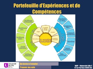 Du lycée à l’emploi
Trouver ma voie
Portefeuille d’Expériences et de
Compétences
BAIP – Université Lille 2
42 rue Paul Duez 59000 Lille
 