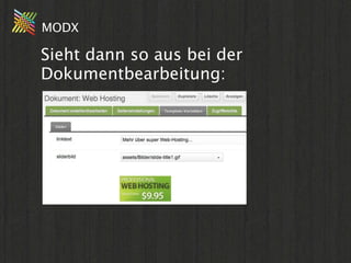 MODX

Sieht dann so aus bei der
Dokumentbearbeitung:
 