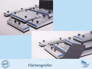 Flächengreifer
 
