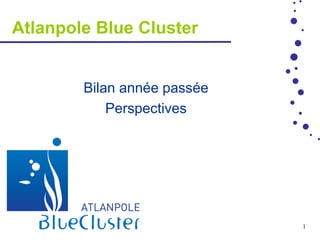 Atlanpole Blue Cluster


        Bilan année passée
            Perspectives




                             1
 