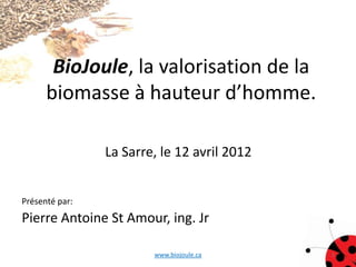 BioJoule, la valorisation de la
      biomasse à hauteur d’homme.

                La Sarre, le 12 avril 2012


Présenté par:
Pierre Antoine St Amour, ing. Jr

                        www.biojoule.ca      1
 