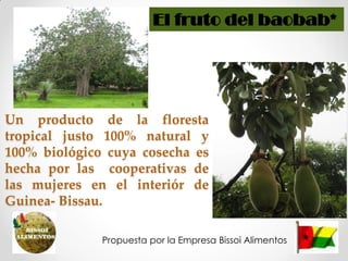 El fruto del baobab*




Un producto de la floresta
tropical justo 100% natural y
100% biológico cuya cosecha es
hecha por las cooperativas de
las mujeres en el interiór de
Guinea- Bissau.

              Propuesta por la Empresa Bissoi Alimentos
 