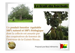 Le fruit du baobab




Un produit forestier équitable
100% naturel et 100% biologique
dont la collecte est assurée par
des coopératives de femmes de
l’intérieur de la Guinée Bissau.

                        Proposé par Bissoi Alimentos
 