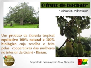 O fruto de baobab* * cabaceira / embondeiro Um produtoda floresta tropicalequitativo 100% natural e 100% biológicocujarecolha e feita pelas  cooperativasdasmulheres no interior da Guiné - Bissau. Propostada pela empresaBissoiAlimentos 