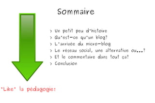 Sommaire > Un petit peu d'histoire > Qu'est-ce qu'un blog? > L'arrivée du micro-blog > Le réseau social, une alternative ou...? > Et le commentaire dans tout ça? > Conclusion "Like" la pédagogie! 