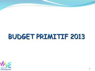 BUDGET PRIMITIF 2013



                       1
 