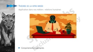 THÉORIE DE LA VITRE BRISÉE
Application dans nos métiers : relations humaines
Comportements inappropriés.
 