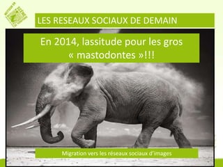 LES RESEAUX SOCIAUX DE DEMAIN 
En 2014, lassitude pour les gros 
« mastodontes »!!! 
Migration vers les réseaux sociaux d’images 
 