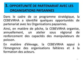 3. OPPORTUNITÉ DE PARTENARIAT AVEC LES
ORGANISATIONS PAYSANNES
Dans le cadre de ce programme stratégique, la
CEBEVIRHA a identifié quelques opportunités de
partenariat avec les Organisations paysannes.
Ainsi, en matière de pêche, la CEBEVIRHA organise,
annuellement, un atelier sous régional de
renforcement des capacités des manipulateurs de
poisson.
En matière d’élevage, la CEBEVIRHA appui à
l’émergence des organisations faîtières et à la
formation des acteurs.
11
 