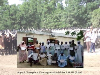 14
Appui à l’émergence d’une organisation faîtière à KARAL (Tchad)
 