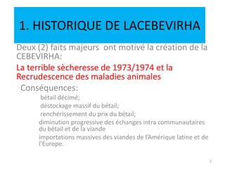 1. HISTORIQUE DE LACEBEVIRHA
Deux (2) faits majeurs ont motivé la création de la
CEBEVIRHA:
La terrible sècheresse de 1973/1974 et la
Recrudescence des maladies animales
Conséquences:
bétail décimé;
déstockage massif du bétail;
renchérissement du prix du bétail;
diminution progressive des échanges intra communautaires
du bétail et de la viande
importations massives des viandes de l’Amérique latine et de
l’Europe.
2
 