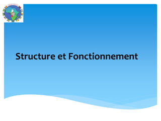 Structure et Fonctionnement