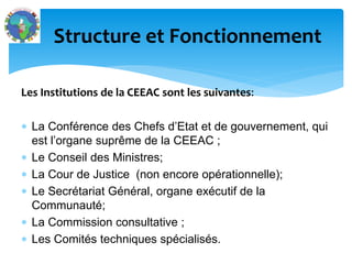 Les Institutions de la CEEAC sont les suivantes:
La Conférence des Chefs d’Etat et de gouvernement, qui
est l’organe suprême de la CEEAC ;
Le Conseil des Ministres;
La Cour de Justice (non encore opérationnelle);
Le Secrétariat Général, organe exécutif de la
Communauté;
La Commission consultative ;
Les Comités techniques spécialisés.
Structure et Fonctionnement