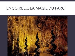 EN SOIREE… LA MAGIE DU PARC
 