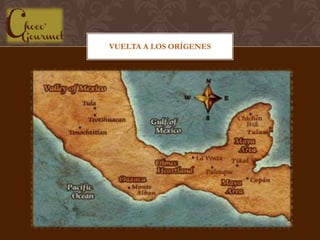 VUELTA A LOS ORÍGENES
 