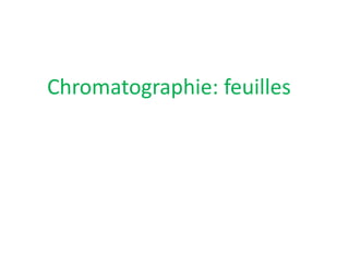 Chromatographie: feuilles
 