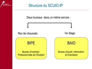 Structure du SCUIO-IP BIPE Bureau d’Insertion  Professionnelle de l’Etudiant Deux bureaux  dans un même service : Rez de chaussée 1er étage BAIO Bureau Accueil, Information  et Orientation 