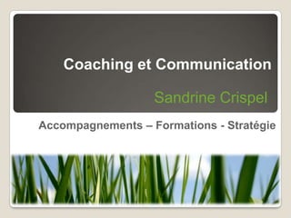 Coaching et Communication Accompagnements – Formations - Stratégie Sandrine Crispel 
