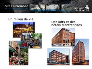 Des lofts et des
hôtels d’entreprises
Un milieu de vie
 