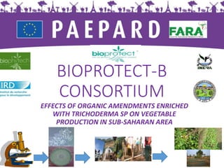 BIOPROTECT-B
CONSORTIUM
EFFECTS OF ORGANIC AMENDMENTS ENRICHED
WITH TRICHODERMA SP ON VEGETABLE
PRODUCTION IN SUB-SAHARAN AREA
 