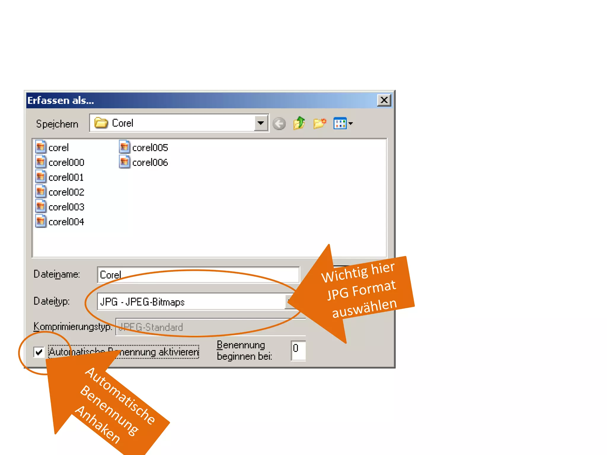 Wichtig hier JPG Format auswählenAutomatische Benennung Anhaken