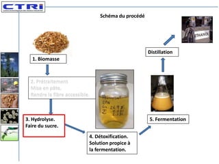 Schéma du procédé




                                                    Distillation
   1. Biomasse



  2. Prétraitement
  Mise en pâte.
  Rendre la fibre accessible.



3. Hydrolyse.                                       5. Fermentation
Faire du sucre.
                            4. Détoxification.
                            Solution propice à
                            la fermentation.
 