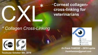 CXL
* Corneal collagen-
cross-linking for
veterinarians
* Collagen Cross-Linking
Dr Frank FAMOSE – DESV-ophta
frankfamose@gmail.com
Toulouse October 6th, 2016
 