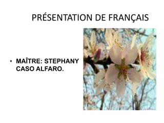 PRÉSENTATION DE FRANÇAIS,[object Object],MAÎTRE: STEPHANY CASO ALFARO.,[object Object]
