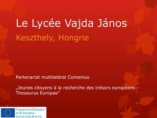 Le Lycée Vajda János
Keszthely, Hongrie
Partenariat multilatéral Comenius
„Jeunes citoyens à la recherche des trésors européens –
Thesaurus Europae”
 