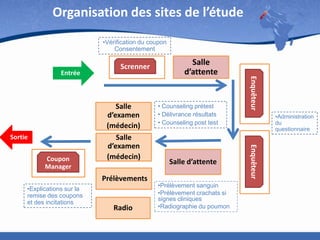 Organisation des sites de l’étude
•Vérification du coupon
Consentement

Sortie

Prélèvements
•Explications sur la
remise des coupons
et des incitations

Radio

• Counseling prétest
• Délivrance résultats
• Counseling post test

Salle d’attente
•Prélèvement sanguin
•Prélèvement crachats si
signes cliniques
•Radiographie du poumon

•Administration
du
questionnaire

Enquêteur

Coupon
Manager

Salle
d’examen
(médecin)
Salle
d’examen
(médecin)

Salle
d’attente

Enquêteur

Entrée

Screnner

 