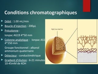 Conditions chromatographiques


Débit : 1.00 mL/min



Boucle d’injection : 200µL



Précolonne :
Ionpac AG19 4*50 mm



Colonne analytique : Ionpac AS19
4*250 mm
Groupe fonctionnel : alkanol
ammonium quaternaire



Détecteur : conductimétrique



Gradient d’élution : 6-21 minutes
10-45mM de KOH

 