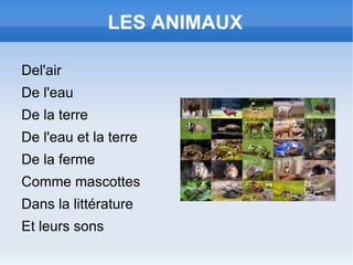 LES ANIMAUX ,[object Object]