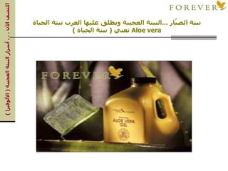 نبتة الصبَّار  ... النبتة العجيبة ويطلق عليها الغرب نبتة الحياة Aloe vera   تعني  (  نبتة الحياة  ) اكتشف الآن  . . .  أسرار النبتة العجيبة  (  الألوفيرا  ) 