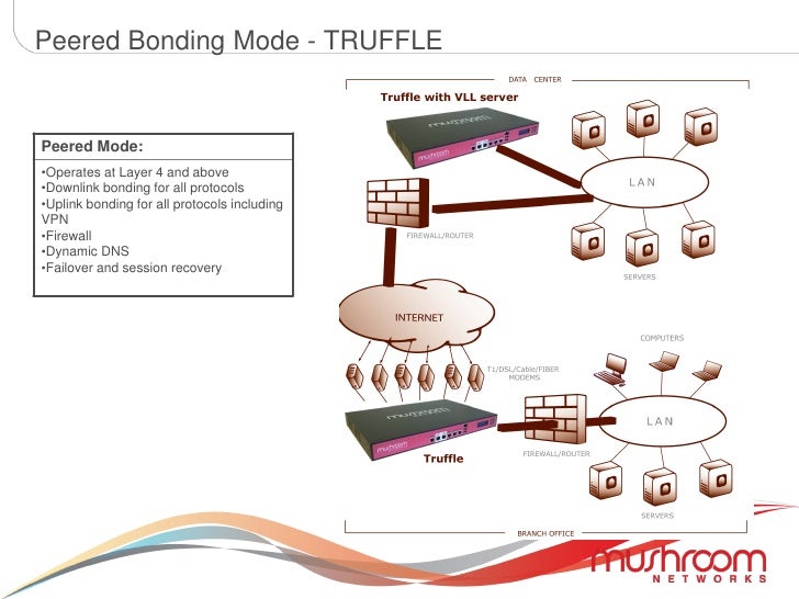 Présentation Des Produits Mushroom Networks