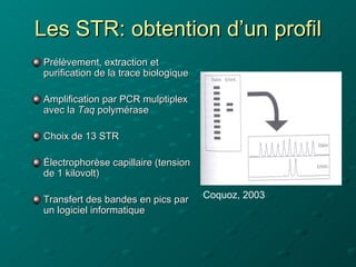 Les STR: obtention d’un profil
Prélèvement, extraction et
purification de la trace biologique

Amplification par PCR mulpt...