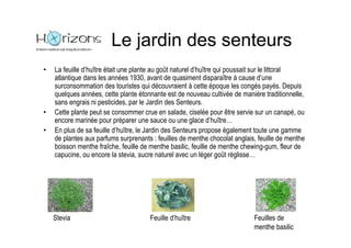 Le jardin des senteurs
•   La feuille d’huître était une plante au goût naturel d’huître qui poussait sur le littoral
    atlantique dans les années 1930, avant de quasiment disparaître à cause d’une
    surconsommation des touristes qui découvraient à cette époque les congés payés. Depuis
    quelques années, cette plante étonnante est de nouveau cultivée de manière traditionnelle,
    sans engrais ni pesticides, par le Jardin des Senteurs.
•   Cette plante peut se consommer crue en salade, ciselée pour être servie sur un canapé, ou
    encore marinée pour préparer une sauce ou une glace d’huître…
•   En plus de sa feuille d’huître, le Jardin des Senteurs propose également toute une gamme
    de plantes aux parfums surprenants : feuilles de menthe chocolat anglais, feuille de menthe
    boisson menthe fraîche, feuille de menthe basilic, feuille de menthe chewing-gum, fleur de
    capucine, ou encore la stevia, sucre naturel avec un léger goût réglisse…




    Stevia                            Feuille d’huître                      Feuilles de
                                                                            menthe basilic
 