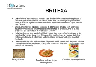 BRITEXA
•   Le Berlingot de mer – crepidula fornicata – est arrivée sur les côtes bretonnes pendant la
    deuxième guerre mondiale avec les navires américains. Ce coquillage est parfaitement
    connu au Chili, où il y est consommé à l’état brut depuis des années et au Japon, dans la
    baie d’Ariake.
•   Britexa, entouré d’une équipe de pêcheurs, de scientifiques a mis au point un procédé
    industriel révolutionnaire qui permet de retirer la chair de ce coquillage, très fin et déjà
    sélectionné par les meilleurs chefs étoilés au Michelin
•   Le berlingot de mer a un goût iodé et développe de fines saveurs de champignons et de
    noisettes. Sa chair est ferme, pour être prescrite à tous les types de cuisson. Sa texture
    reste tendre et souple. Il est riche en protéines et a un fort taux d’acide gras essentiel
    (oméga 3).
•   Le berlingot de mer peut être consommé simplement poêlé, cuisiné dans les plats à base de
    crustacés comme les cassolettes ou les gratins, ou encore utilisé en accompagnement dans
    un risotto ou une salade.




Berlingot de mer               Coquille de berlingot de mer        Cassolette de berlingot de mer
                                     et saint-jacques
 