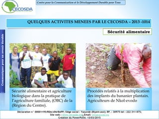 Sécurité alimentaire
Procédés relatifs à la multiplication
des implants du bananier plantain.
Agriculteurs de Nkol-evodo
Communiquerpourunavenirdurable
Déclaration n° 00001195/RDA/J06/BAPP; Siège social : Yaoundé (Biyem-assi); BP. : 30975 tel : 222 311 875;
Site web : www.cecosda.org; Email: infos@cecosda.org
Création du PowerPoint: 13/03/2015
Centre pour la Communication et le Développement Durable pour Tous
QUELQUES ACTIVITES MENEES PAR LE CECOSDA – 2013 -1014
Sécurité alimentaire et agriculture
biologique dans la pratique de
l’agriculture familiale, (OBC) de la
(Région du Centre).
 