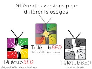 Présentation du logo TélétubBED