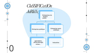 ClaSSIFICatIOn
JuRIdIque
0
Entreprises du
secteur
public
Entreprise publique
agriculture,
pêche,élevage,
mines…
Entreprise semi-
publique
Industries
 