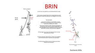 Un brin est une partie ou une extrémité de la corde.
Une corde comporte deux brins matérialisée par une
séparation lorsqu’elle passe par une dégaine ou le frein.
Par exemples:
- lors d’une montée en moulinette, on peut
distinguer le brin de gauche et le brin de droit
(dissociés à hauteur du relais)
- lors d’une montée en tête, lorsque le grimpeur ne
termine pas une voie et se fait re-descendre, on
peut distinguer le brin de gauche et le brin de droit
(dissociés à hauteur de la dernière dégaine).
A l’assurage, il y a le brin du haut et le brin du bas
(dissociés par le frein).
Ce terme permet, entre autres, d’avoir une meilleur
communication entre l’assureur et le grimpeur.
Il ne faut jamais lâcher le brin en dessous du frein
lorsqu’on est assureur.
BRIN
Duchanois Willy
http://escalade65.wifeo.com/techniqu
es.php
Brin du haut
Brin du bas
Frein
Relais ou dégaine
 