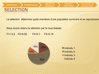 Algorithme     Système     Conclusion et
Introduction       Problématique
                                         génétique    informatisé   perspectives

SÉLECTION
La sélection détermine quels membres d’une population survivent et se reproduisent


Nous avons retenu la sélection par la roue biaisée

F1= 0.2        F2=0.55     F3=0.1    F4=0.15




                           15%      20%               Individu 1
                         10%                          Individu 2
                                                      Individu 3
                                   55%                Individu 4




                                                                                    13
 